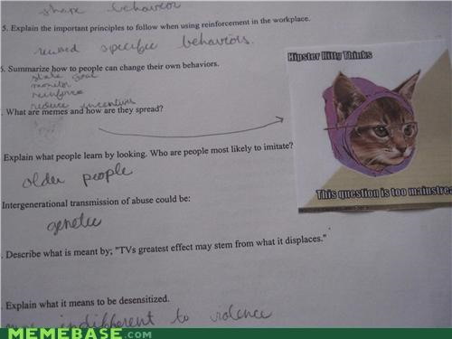 Hipster Cat homework test