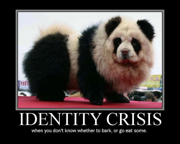 Motivational poster - panda dog