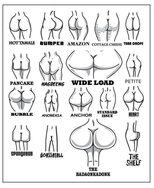 Women's butts chart