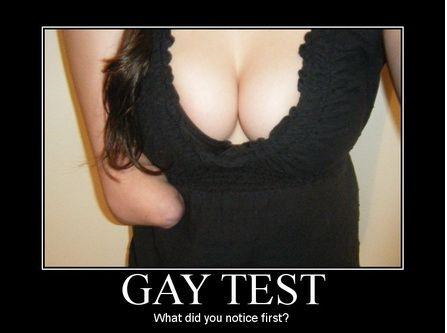 Motivational poster: Gay test