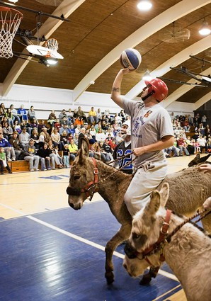 Donkey basketball