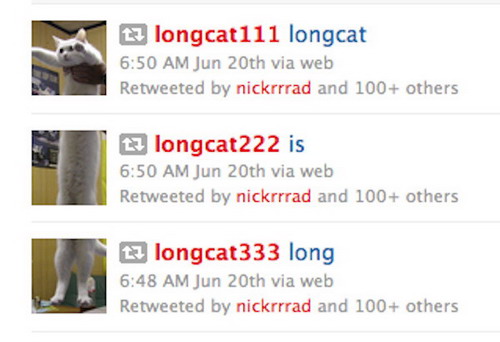 Longcat on Twitter