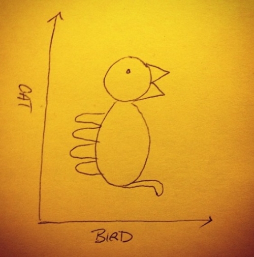 Cat-bird graph