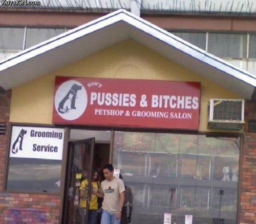 Pussies and bitches