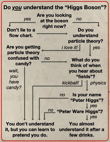 http://pics.blameitonthevoices.com/072012/do_you_understand_the_higgs_boson.jpg