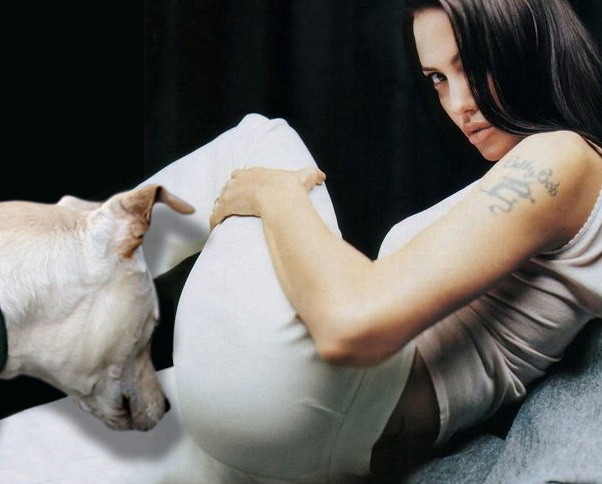Anjelina Jolie sniffed by a dog