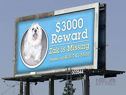 $3,000 - Zak is missing