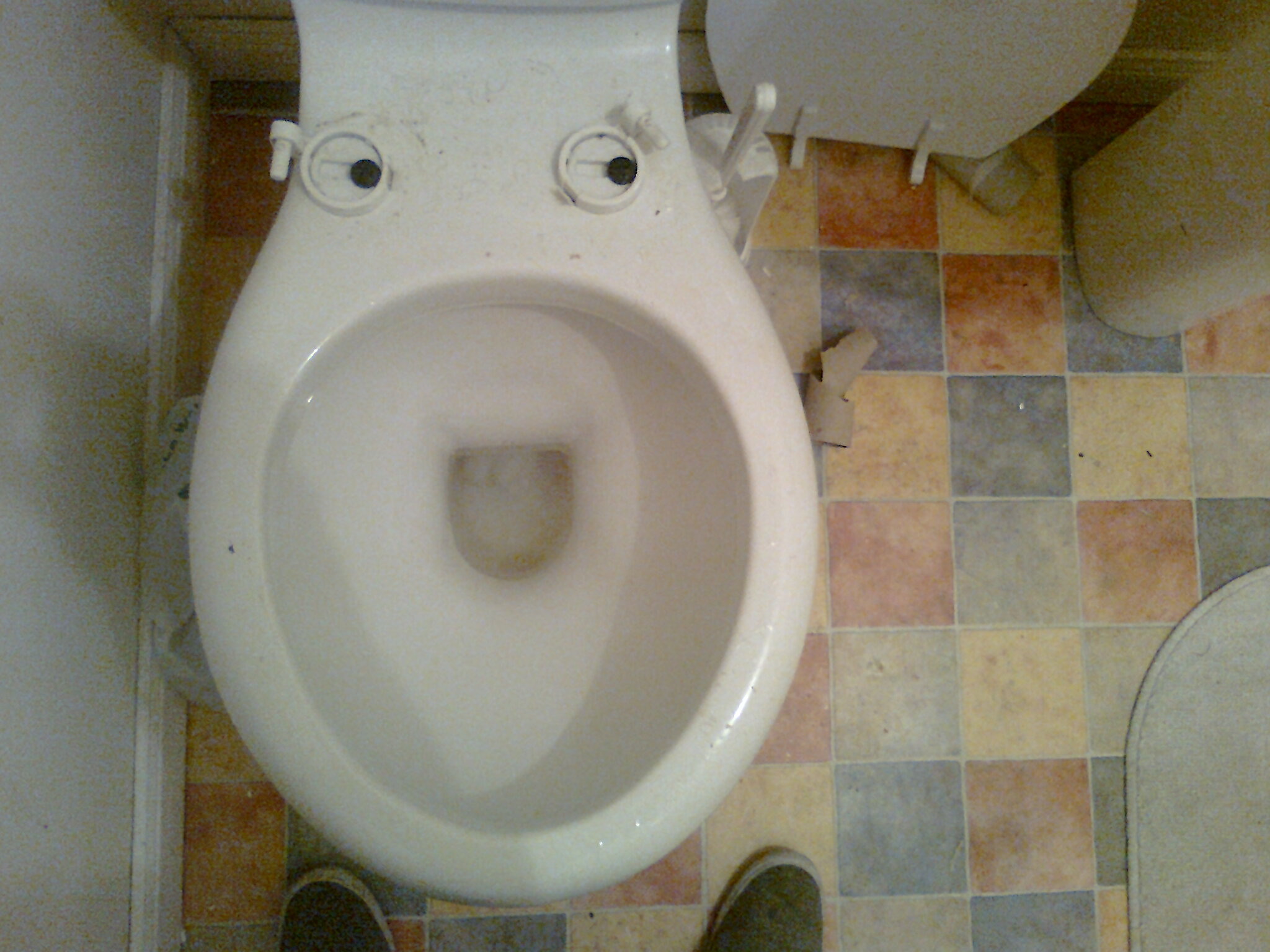 awsome_face_toilet.jpg