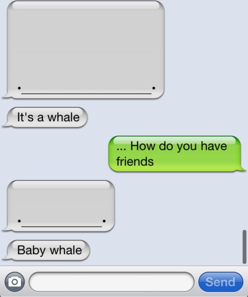 iPhone text whale