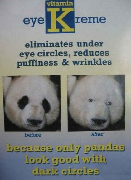 Funny Pics Of Pandas. Only pandas look good with