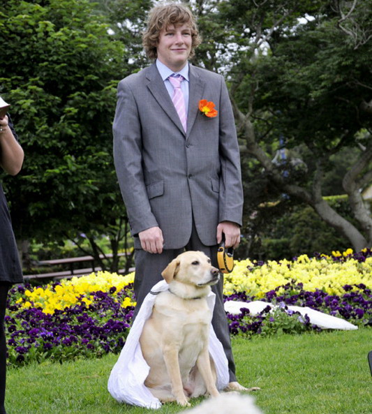 Man marries his dog man_marries_dog1 