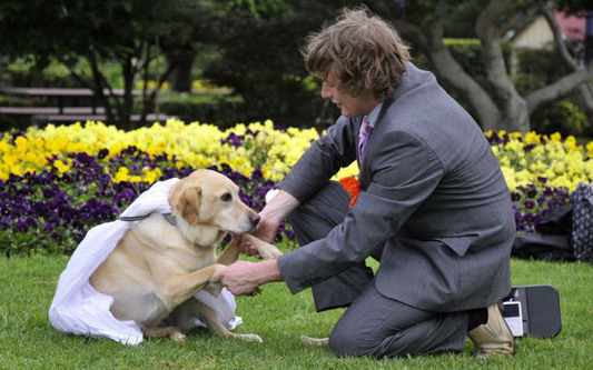 Man marries his dog man_marries_dog2 