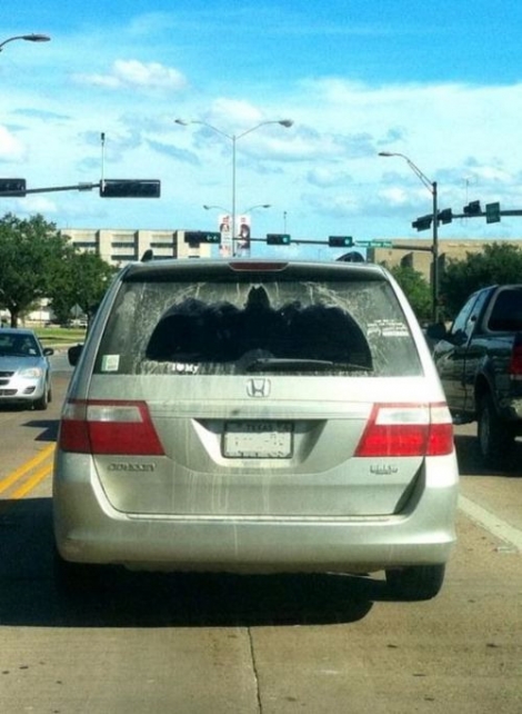 Rear-view window dirt bat-sign